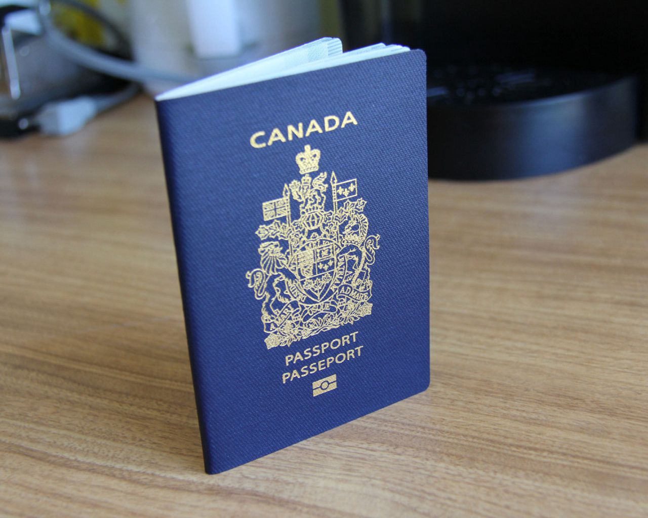 canadian passport - wait times