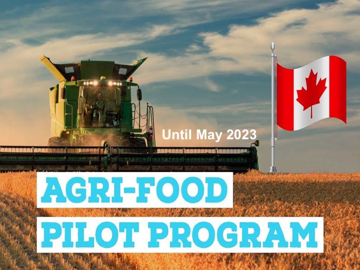 Canada Agri-Food Pilot To Accept 2,750 Applications In New Year