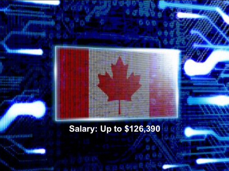 McDonald’s Hiring Over 20,000 People In CanadaDetails & How To Apply