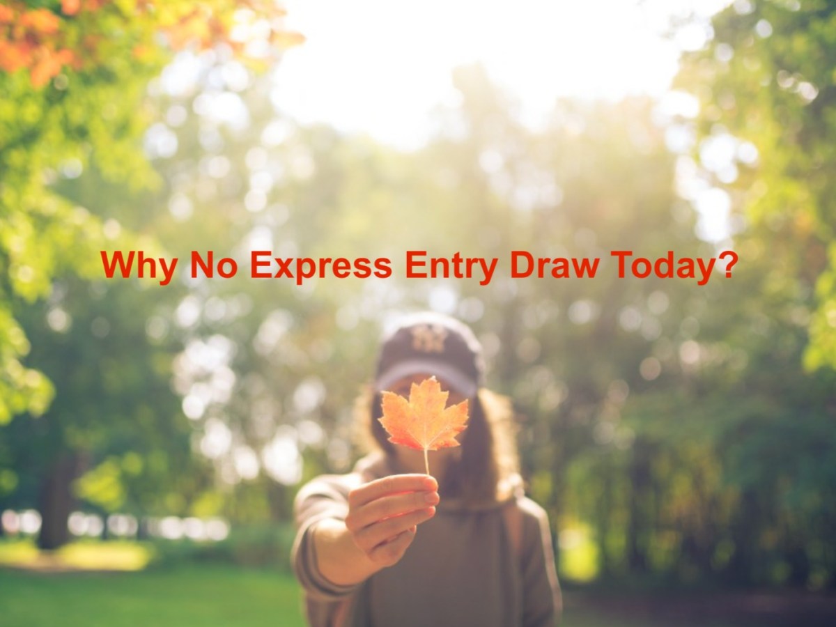 Why No Express Entry Draw Today? Know The Possible Reasons