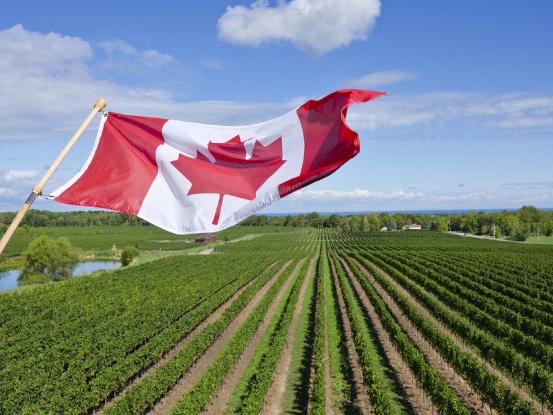 Últimas actualizaciones del Proyecto Piloto de Inmigración Rural y del Norte del RNIP de Canadá