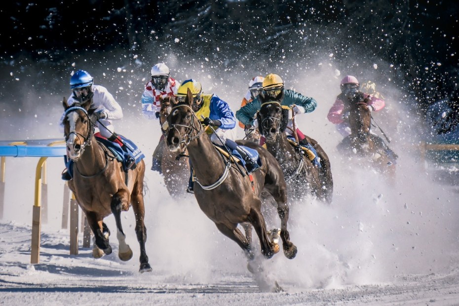 Best Places To Visit In Canada For Horse Racing Enthusiasts
